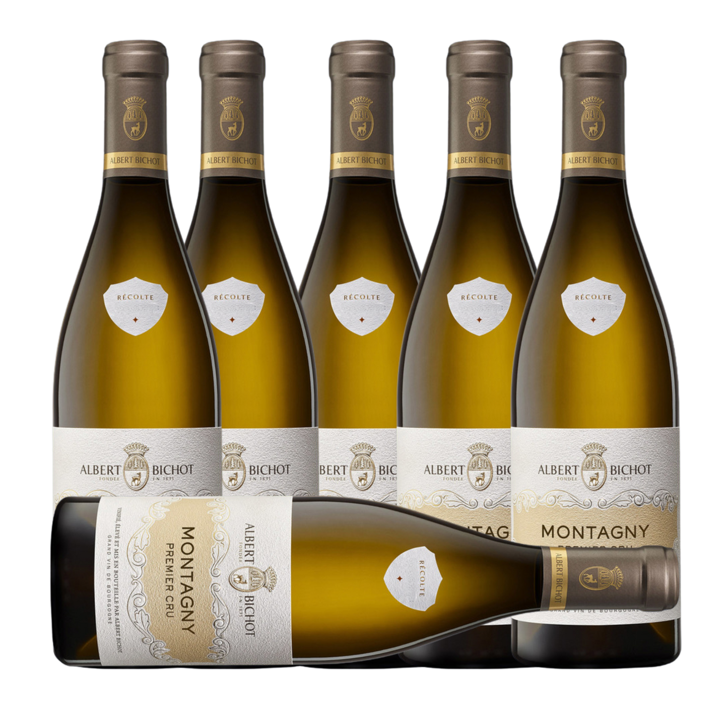 Albert Bichot Montagny 1er Cru 2022 (6 Bottle Case)