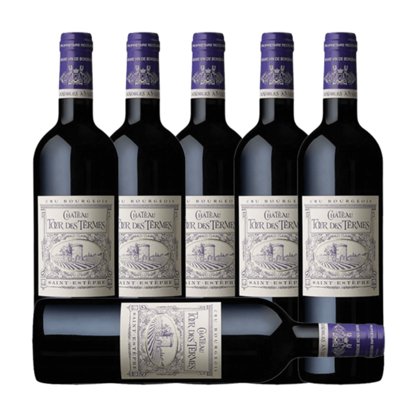 Chateau Tour des Termes Saint Estephe 2014 (6 Bottle Case)