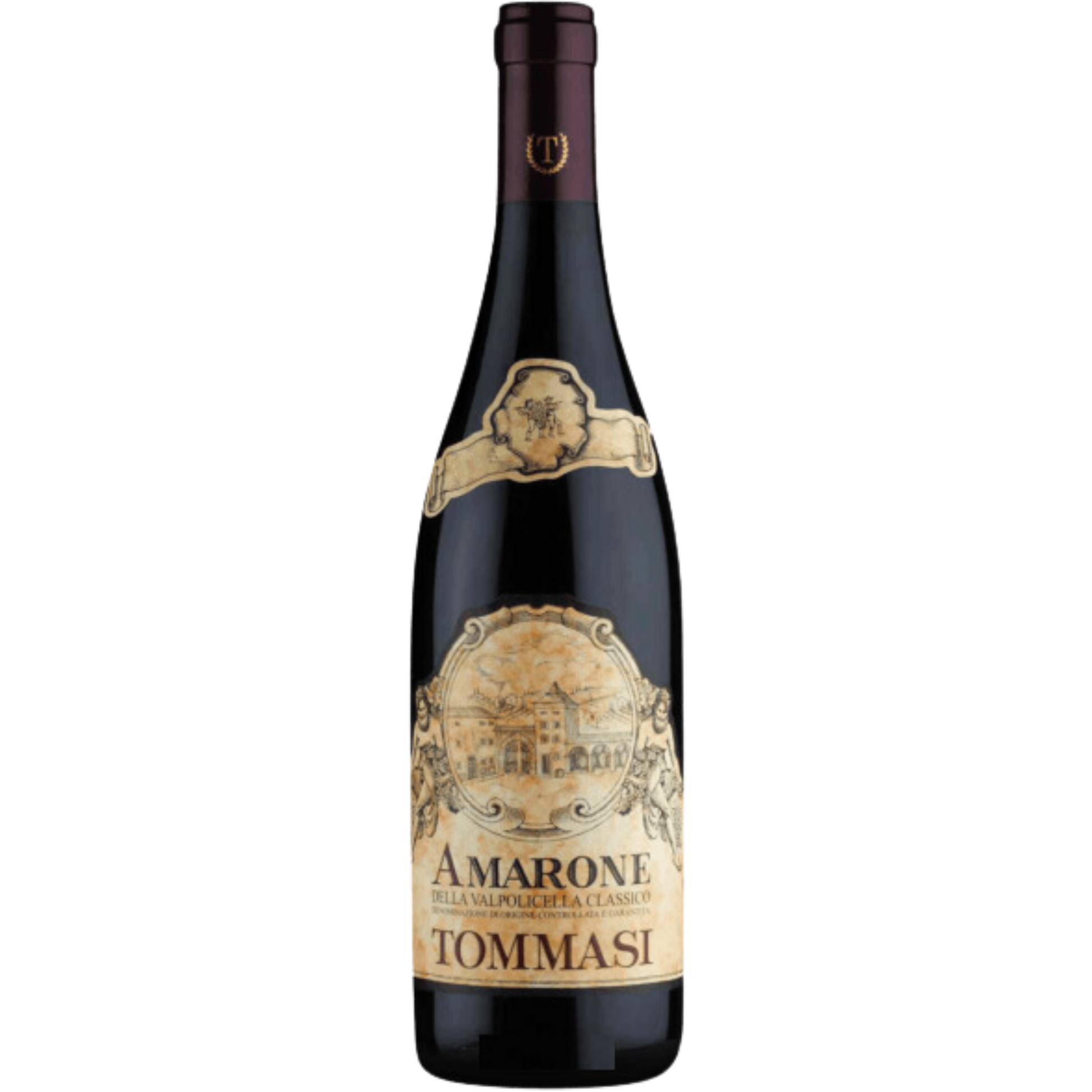 Amarone – della Classico Cellar Valpolicella DOCG Tommasi 2019 Perfect
