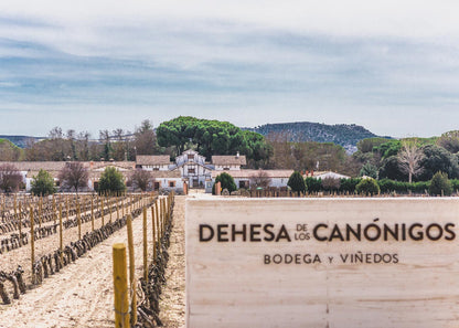 Dehesa de los Canonigos Luis Sanz Busto Ribera del Duero Gran Reserva 2016